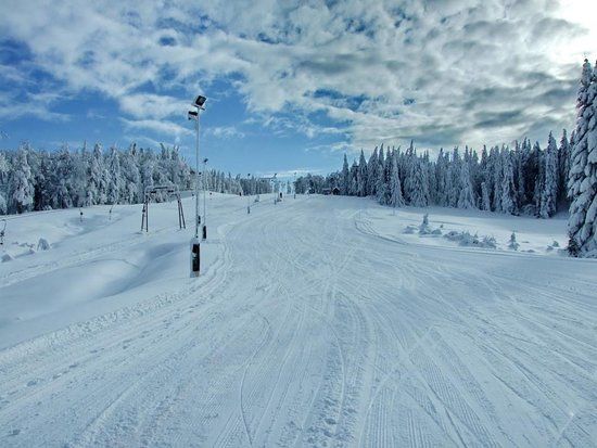 SuperSki Cavnic
