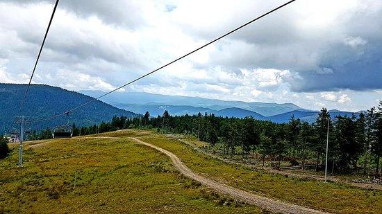 Partia Piatra Graitoare