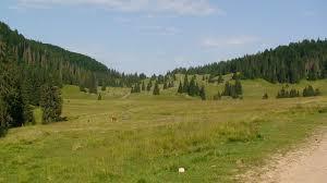 Poiana Vărășoaia