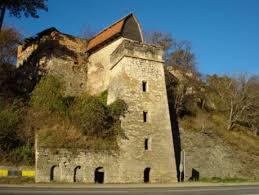 Castelul Turnu Roșu din Boița