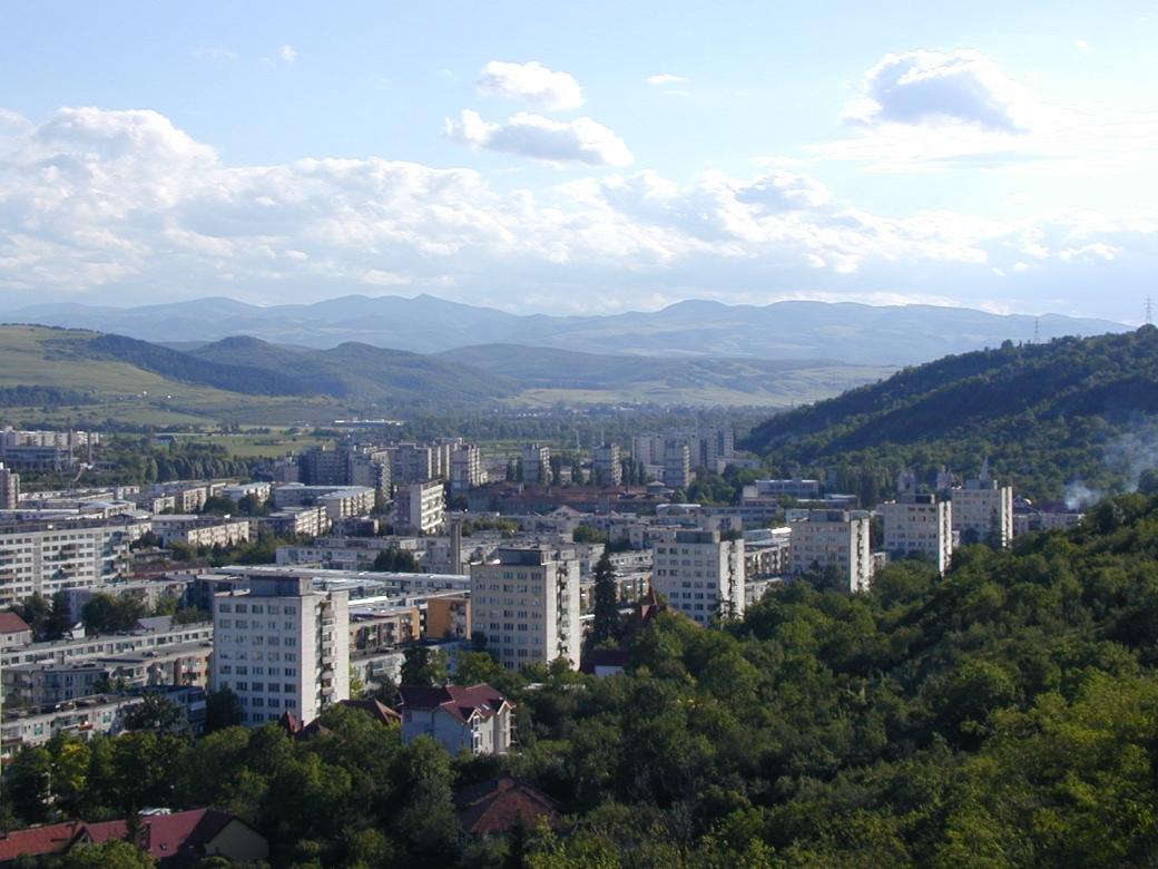 Pădurea Hoia