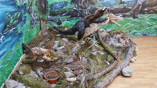 Geoparcul Dinozaurilor Țara Hațegului
