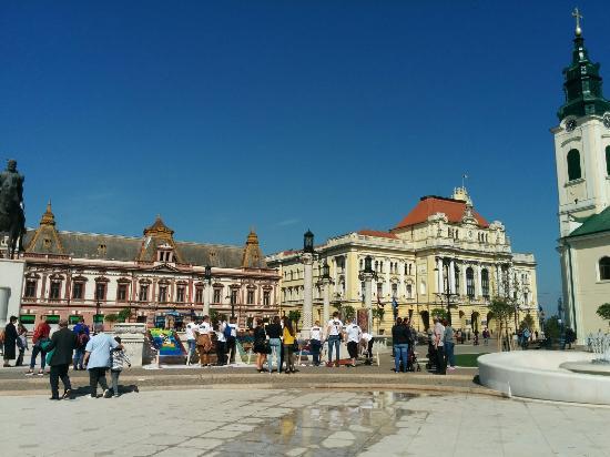 Primăria Oradea