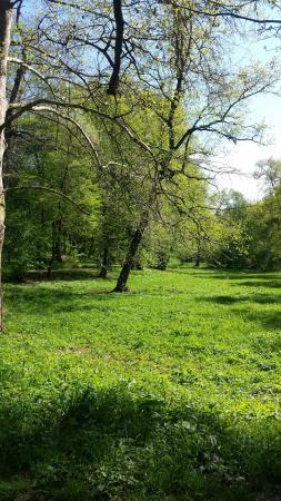 Parcul Sub Arini
